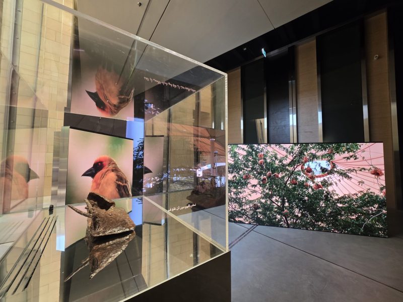 oftheearth@studioentropia