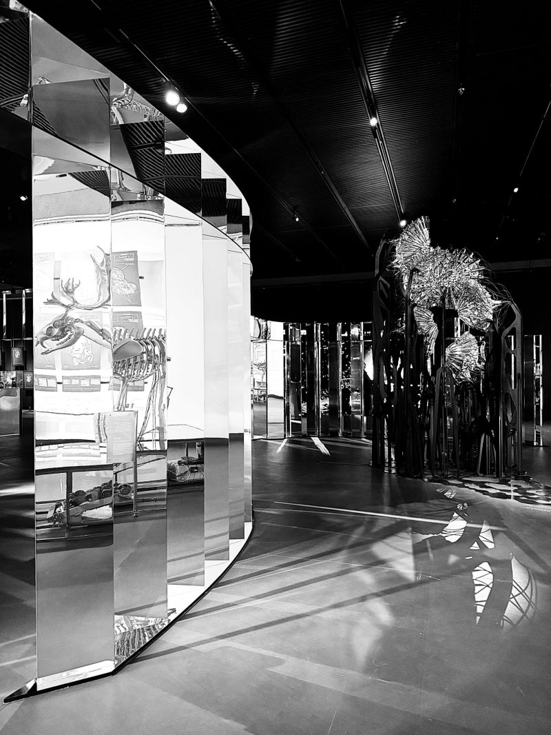 oftheearth@studioentropia